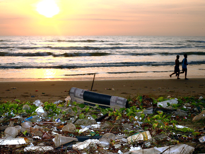 Как пластик угрожает экологии нашей планеты