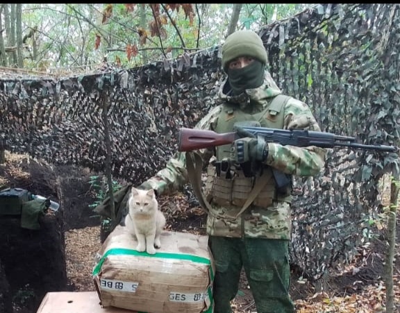 История выжившего