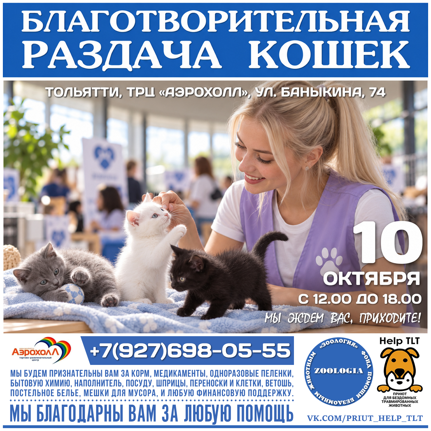 Кошки ждут хозяев