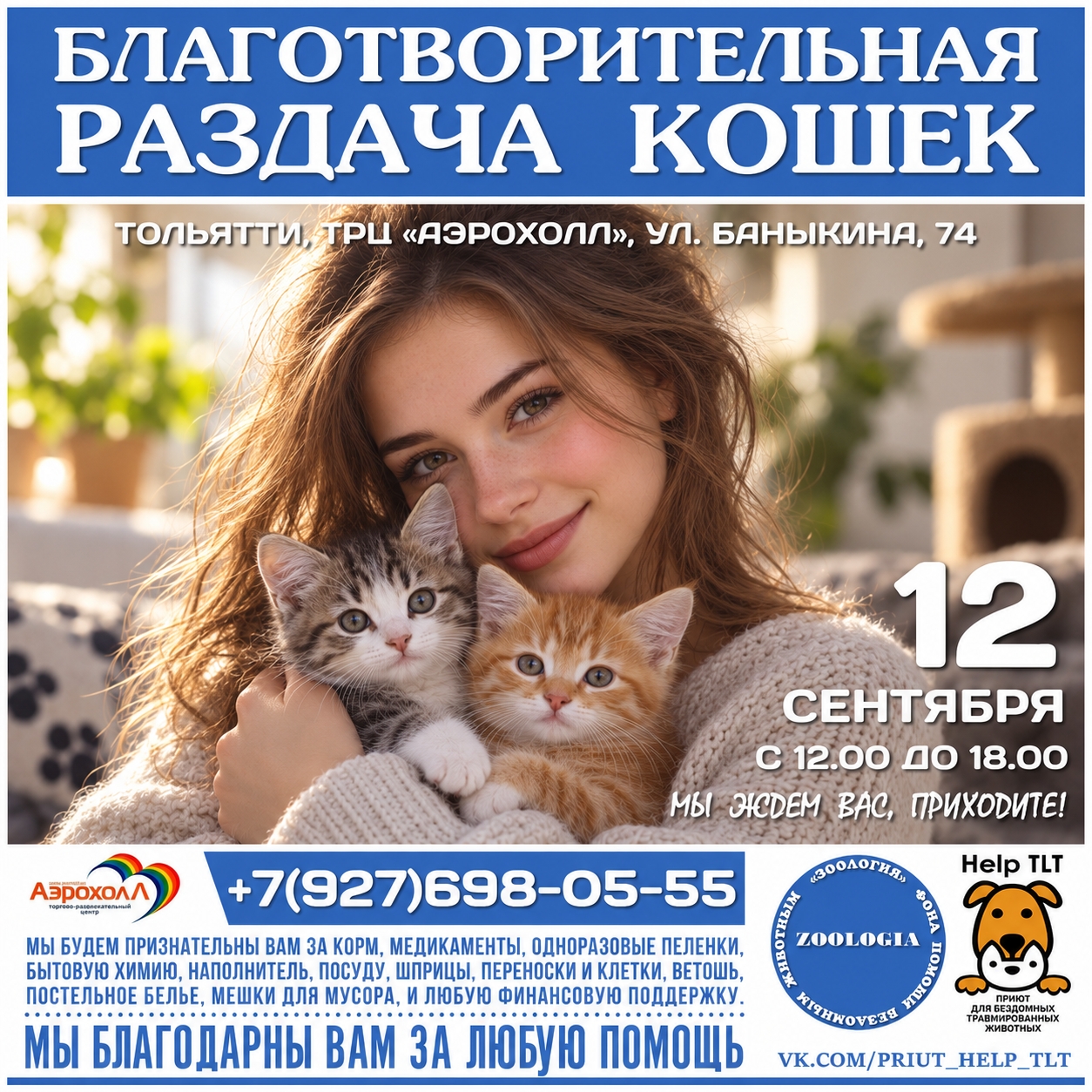 Благотворительная раздача кошек 